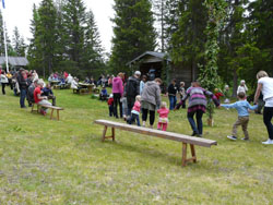 Midsommar 2009